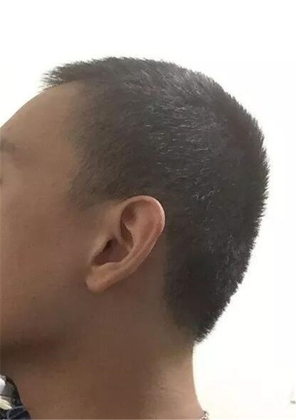 1585209015779262.jpg 扁頭7.jpg