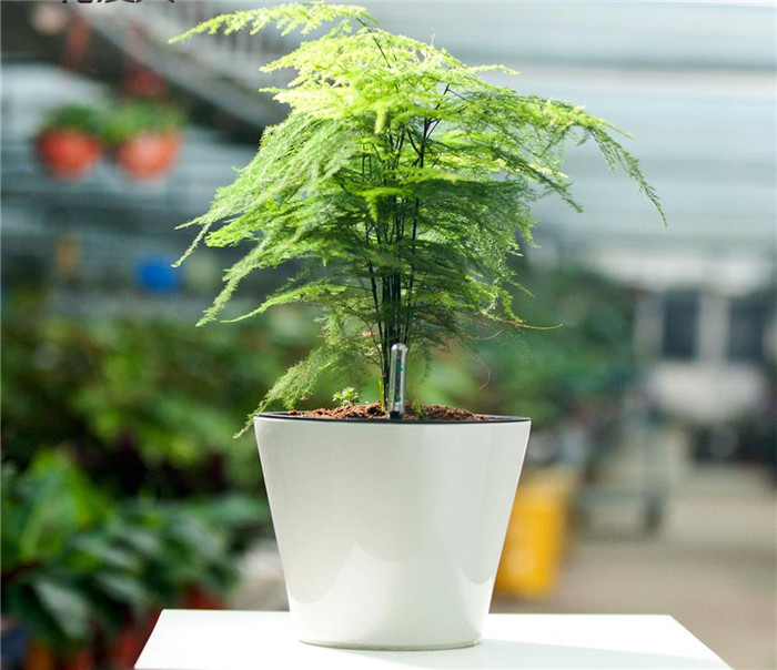 1611980244830041.jpg d0e3bcc1f12041c78d90af1814cf9332_th.jpg