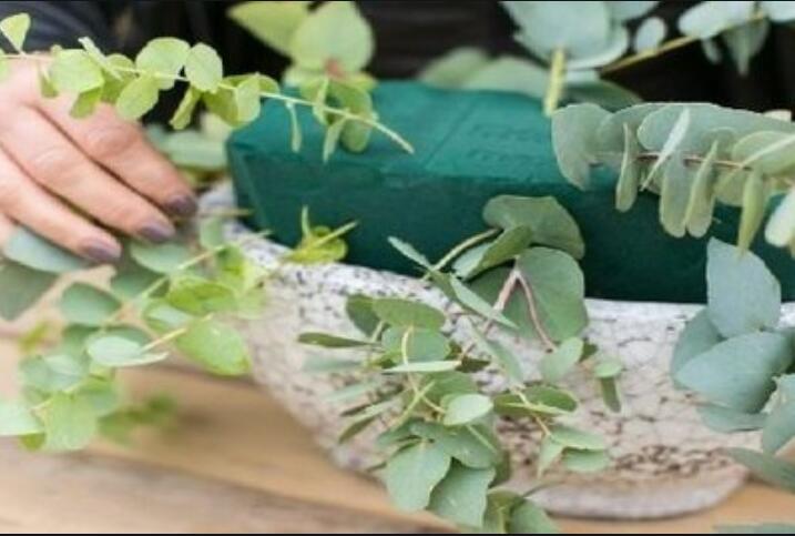 1615530423316907.jpg QQ截圖20210312142629.jpg