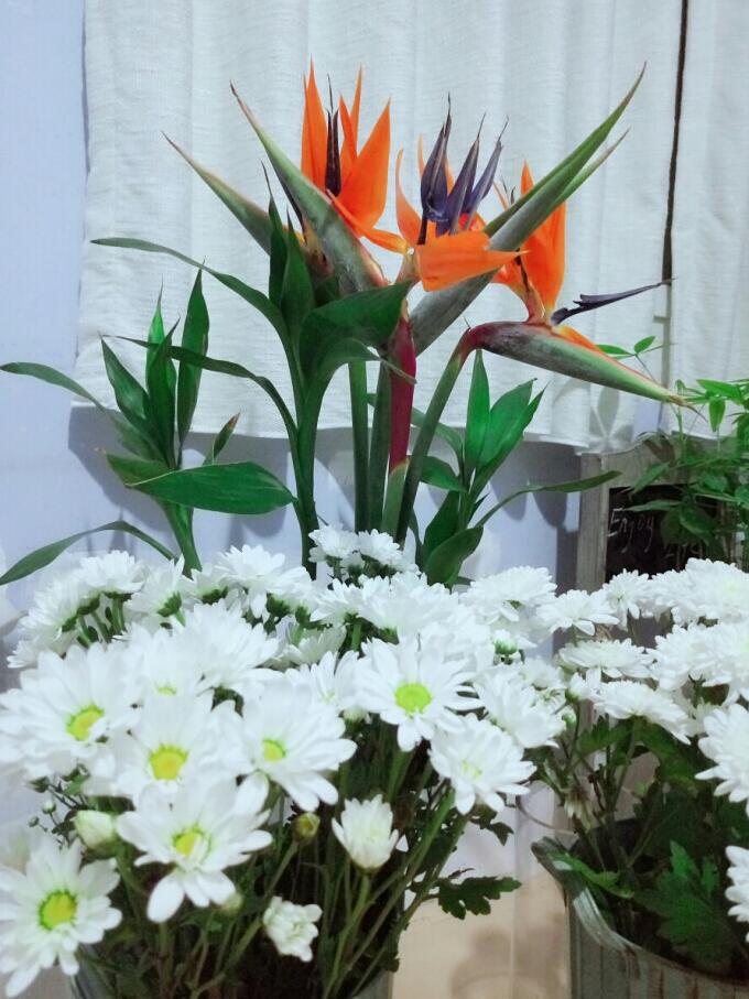 1617333031528218.jpg QQ截圖20210402110949.jpg