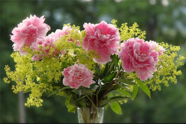 1617333055922548.jpg QQ截圖20210402110733.jpg