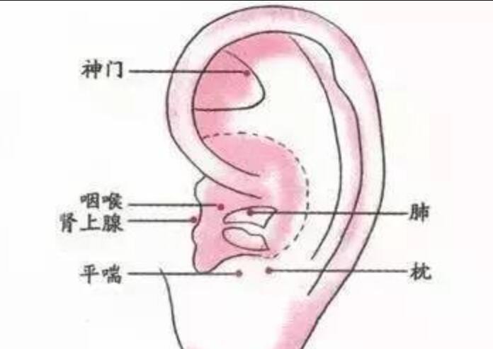 如何正確艾灸耳朵？南寧美容學(xué)校幫你整理教程