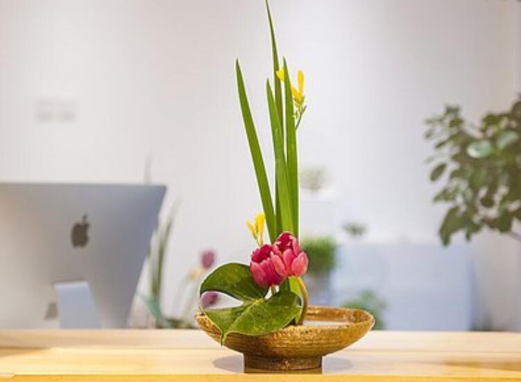 什么是盆式插花？南寧插花培訓(xùn)課程解析