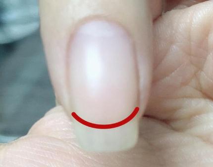 廣西美甲資訊：什么是扇形甲？