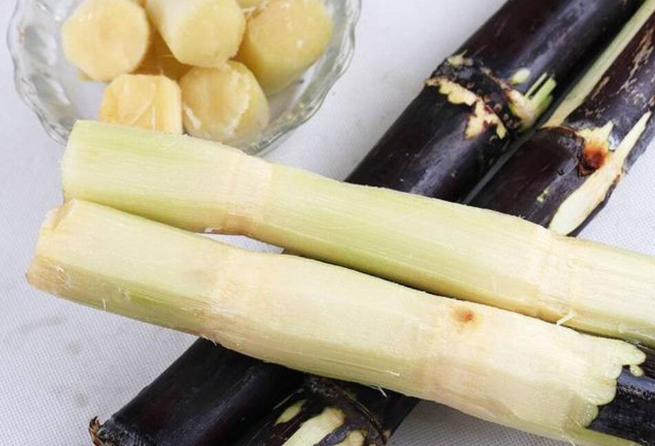 秋冬適合吃什么？南寧教美容養(yǎng)生的學校分享給你