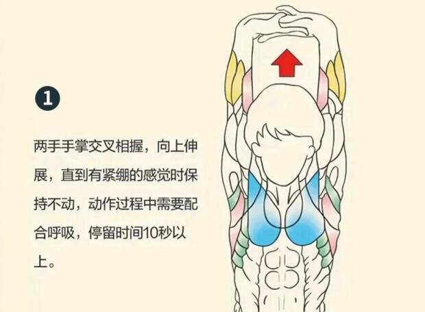 南寧美容師培訓(xùn)要學(xué)什么？背部護(hù)理就是其中一項(xiàng)