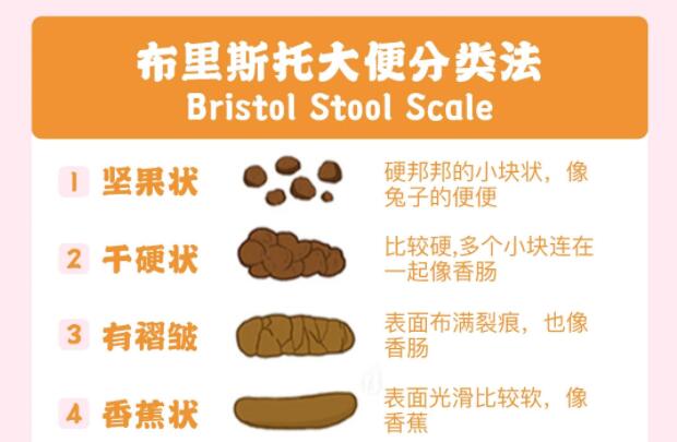 廣西美容養(yǎng)生資訊：如何透過“便便”改善腸胃