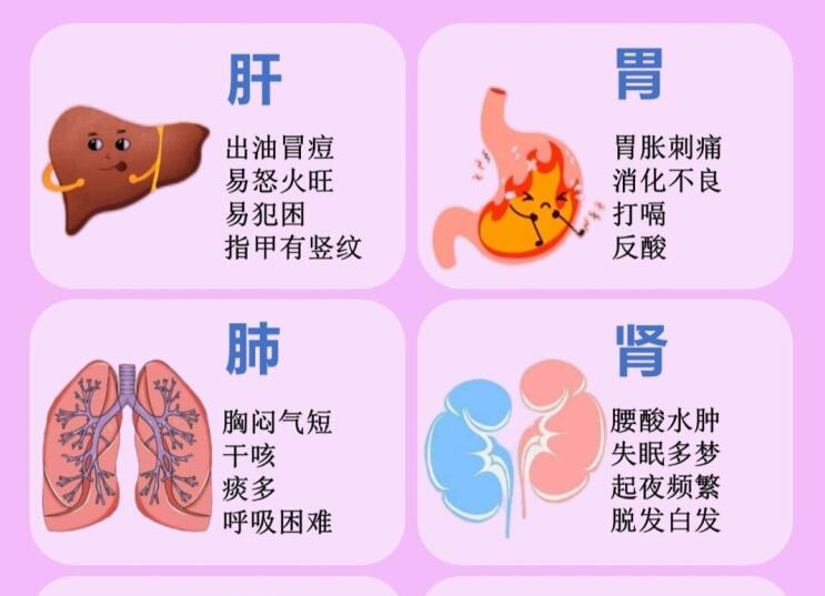 6大臟器保養(yǎng)指南，6款養(yǎng)生茶喝起來 ???