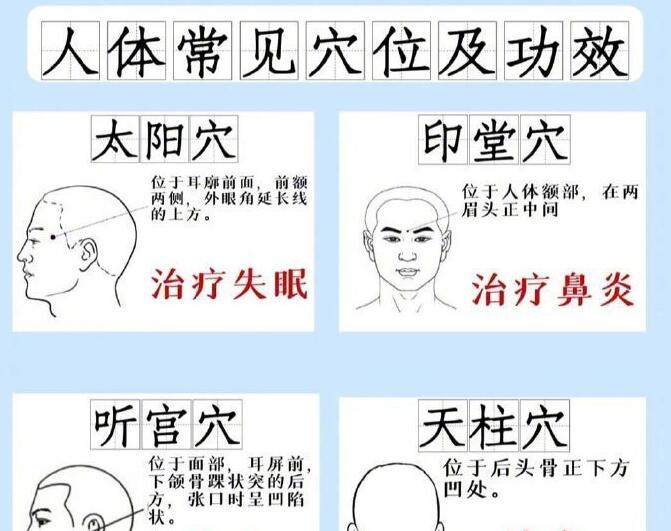 人體常見(jiàn)穴 位及功效，廣西專業(yè)正規(guī)美容學(xué)校講解