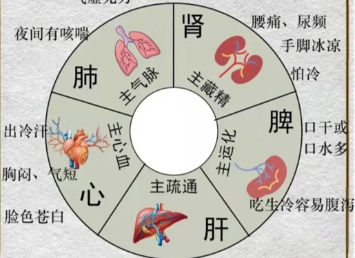 人體不同部位受寒的表現(xiàn)，廣西中醫(yī)美容培訓(xùn)分享