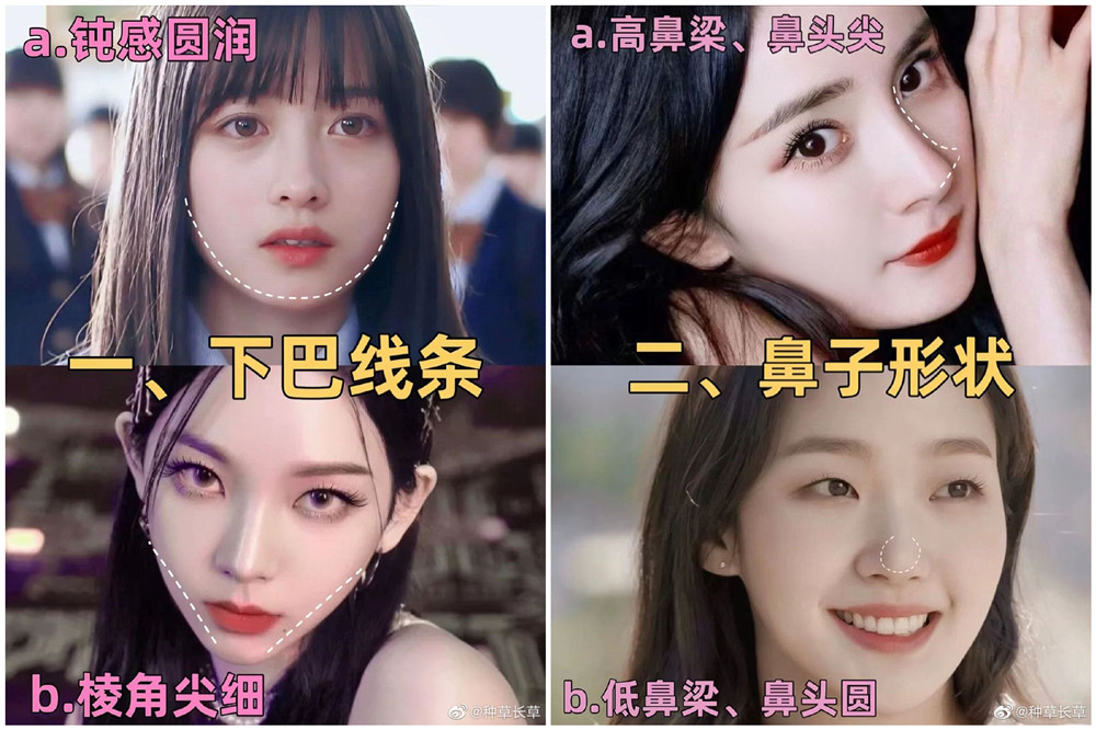 彩妝妝容分析分享：自測動物系長相？