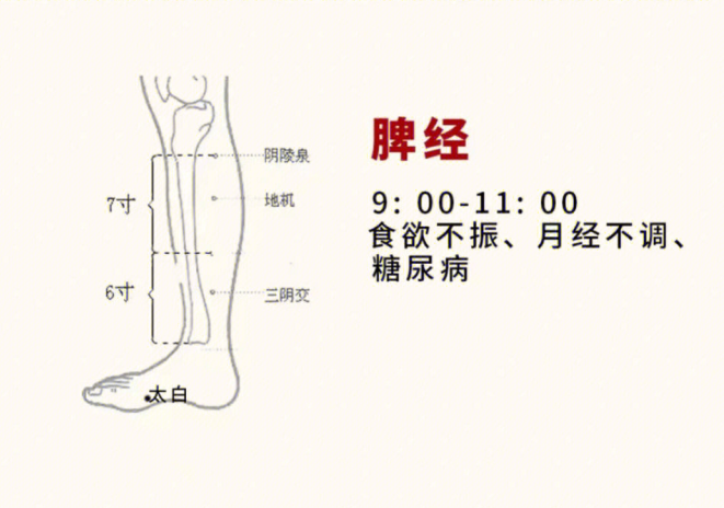 日常容易堵塞的身體部位，廣西美容基礎教學