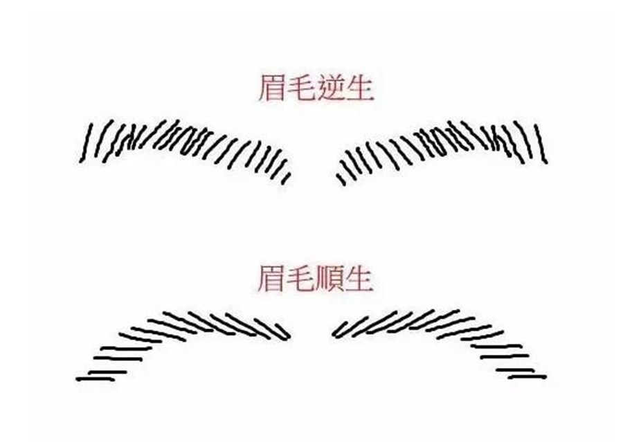 南寧眉眼唇培訓(xùn)：需要修改的眉形（上）