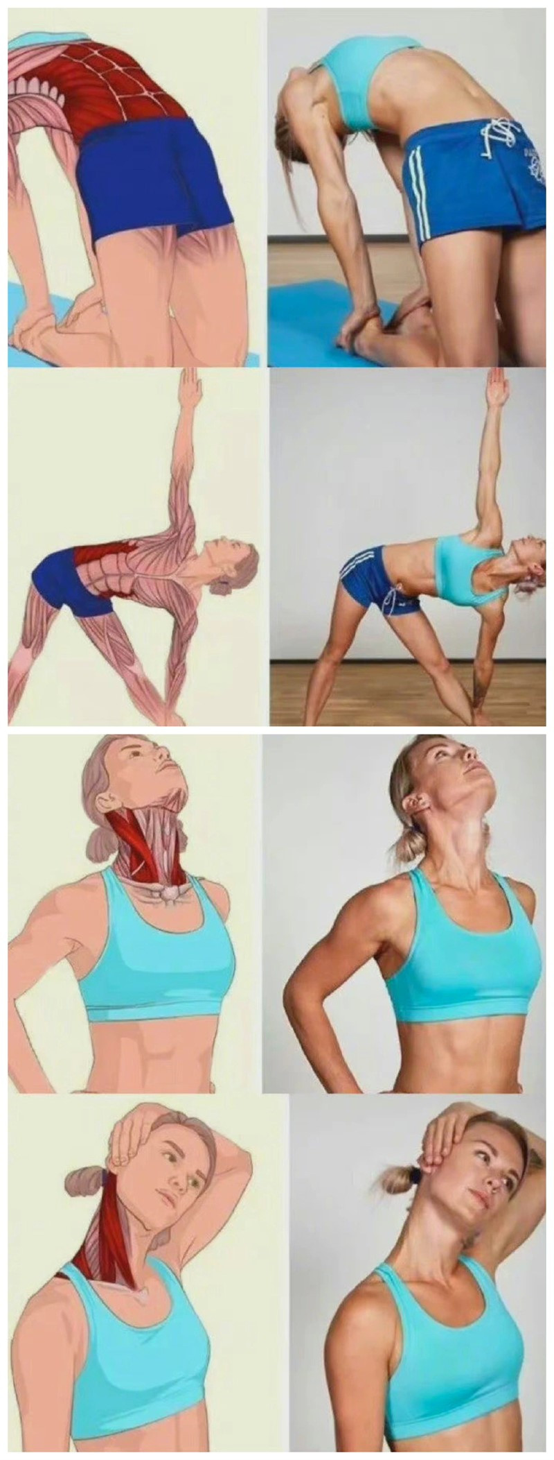 1686666531490295.jpg 801.jpg