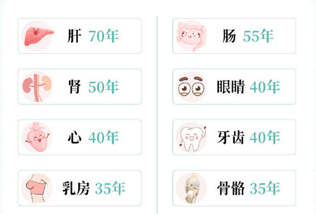 人氣器官保質期，南寧美容養(yǎng)生培訓中心解析
