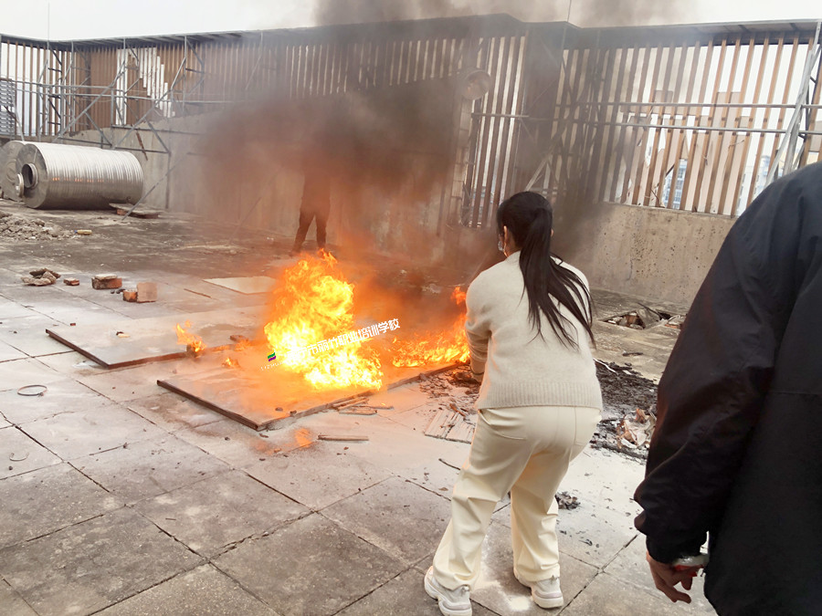 1733966068821429.jpg 8.jpg