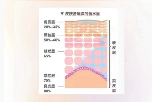皮膚越補(bǔ)水越干？廣西美容護(hù)膚中心分析原因